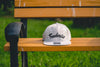 Flat visor cap / Cotton twill square Leaves Gray - Fenderist