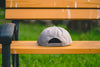 Flat visor cap Leaves Gray - Fenderist